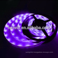 High quality IP65 black light uv strip led, 12V 5050 LED strip light